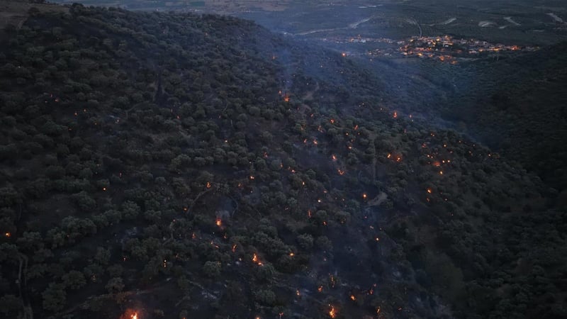 Bozdoğan yangını kontrol altına alındı