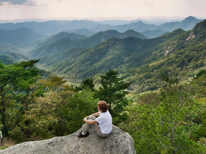 Urlaub in Südkorea: Zwischen Berg und Buddha