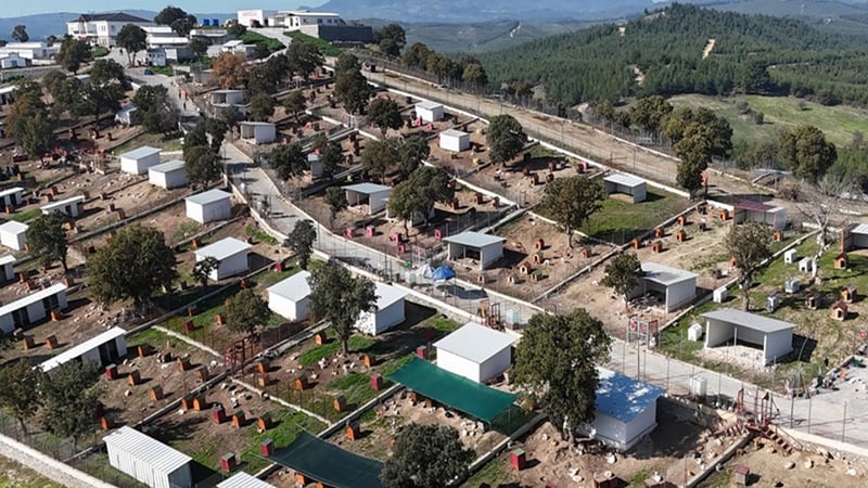 Sahiplendiği 2 köpeği sokağa terk eden kadına 172 bin 716 TL ceza