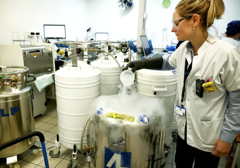 Autoconservation des ovocytes : faut-il ouvrir l’activité au secteur privé ?