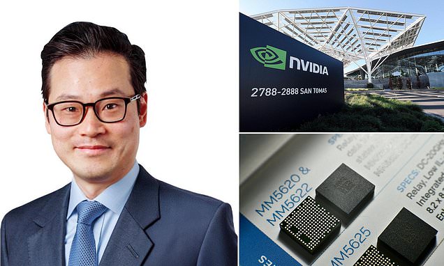 Avoid companies 'wasting' billions on AI - but keep backing Nvidia, says fund manager