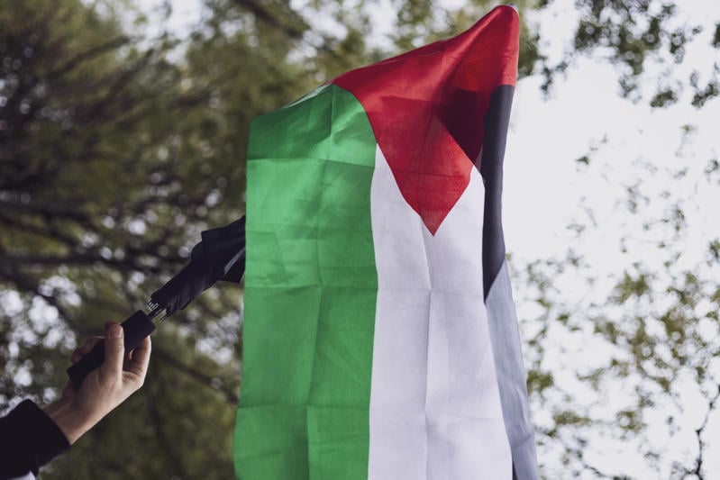 « Il n’y a pas de cessez-le-feu, ce n’est que de la poudre aux yeux » : dans la manifestation parisienne pour la Palestine, la colère et la détermination