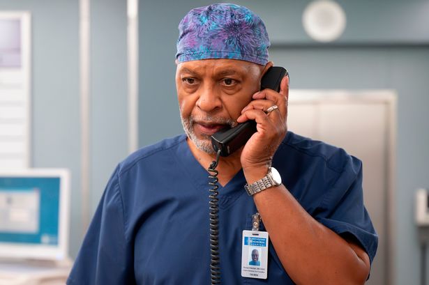 Grey's Anatomy star reveals devastating cancer battle after character suffered same disease