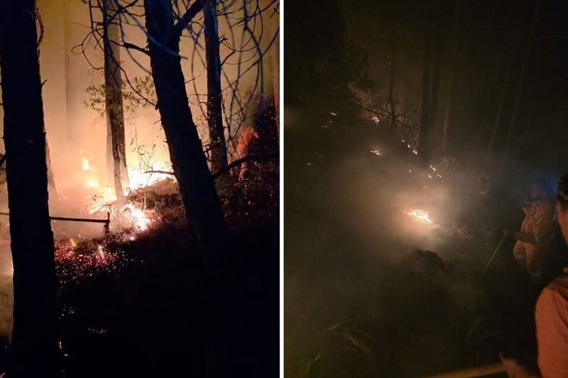 Hatay'da yıldırım düşmesi sonucu orman yangını çıktı