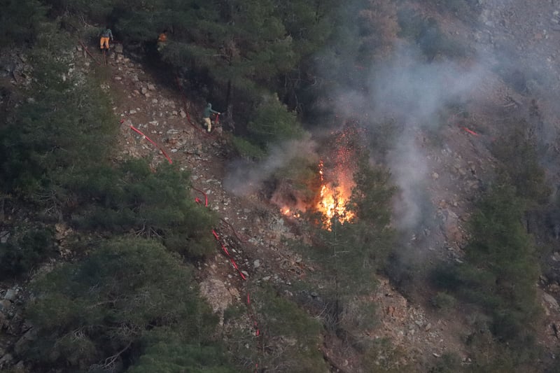Hatay'da çıkan orman yangını kontrol altına alındı
