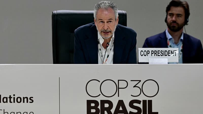 Les pays réunis au Brésil pour la COP30 adoptent un accord climatique sans plan de sortie des énergies fossiles