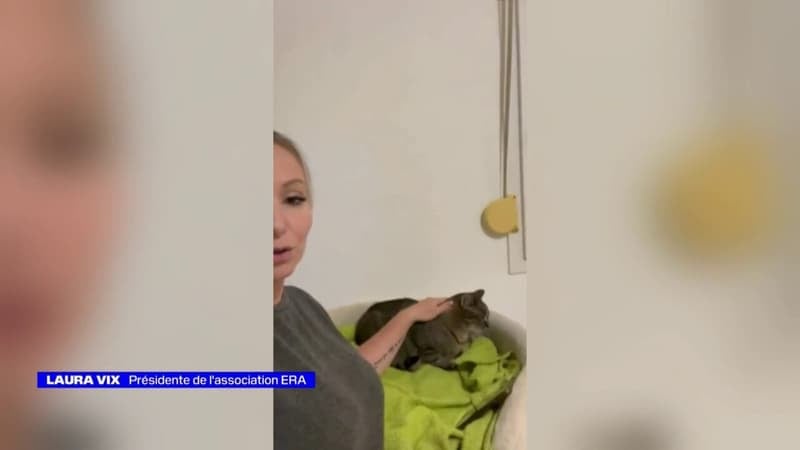 Noël solidaire de l'association ERA - La météo de Colas du vendredi 21 novembre 2025