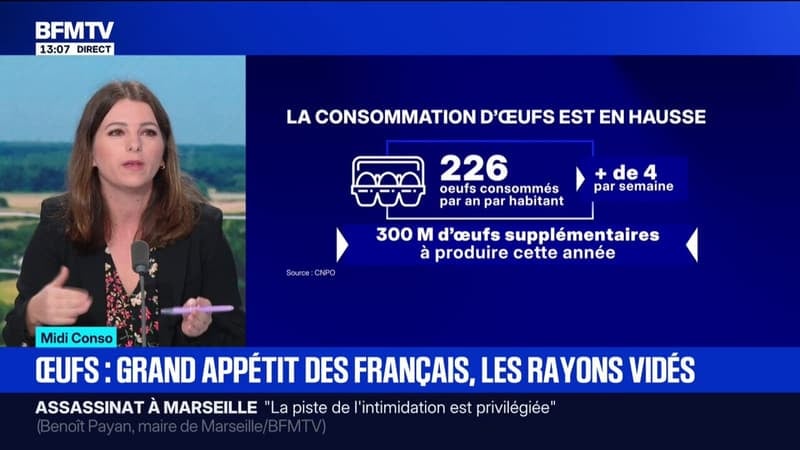 Pourquoi y a-t-il des ruptures de stock d'œufs en rayon?