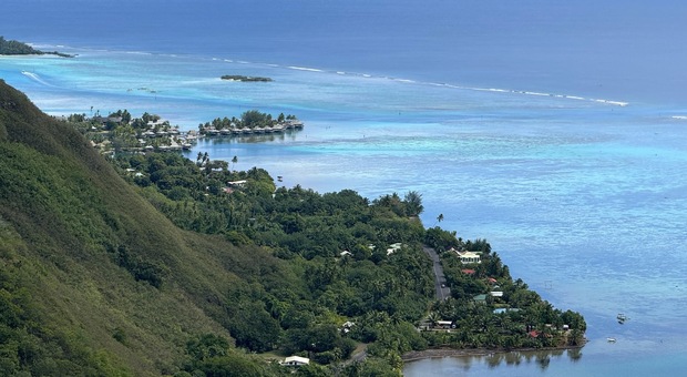 Viaggio in Polinesia Francese, l?isola di Moorea oltre il mare: le esperienze da non perdere