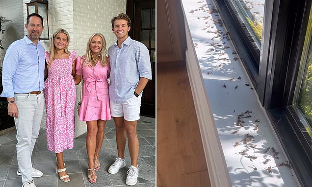 Family of Cowboys coach Brian Schottenheimer terrorized by another animal problem after owl and snake invasion