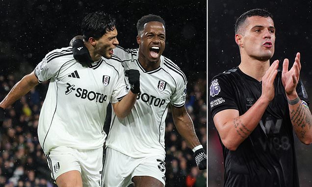 Fulham 1-0 Sunderland ANALYSIS: Marco Silva must wrap Raul Jimenez in cotton wool after late winner - as Premier League pace threatens to engulf Black Cats