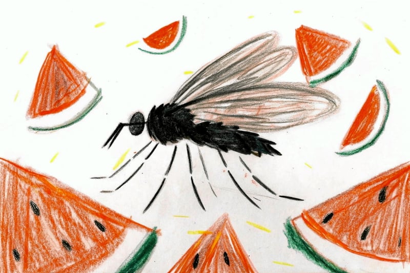 « Je n’ai jamais fait de mal à une mouche, ni juive, ni sioniste, ni rien »