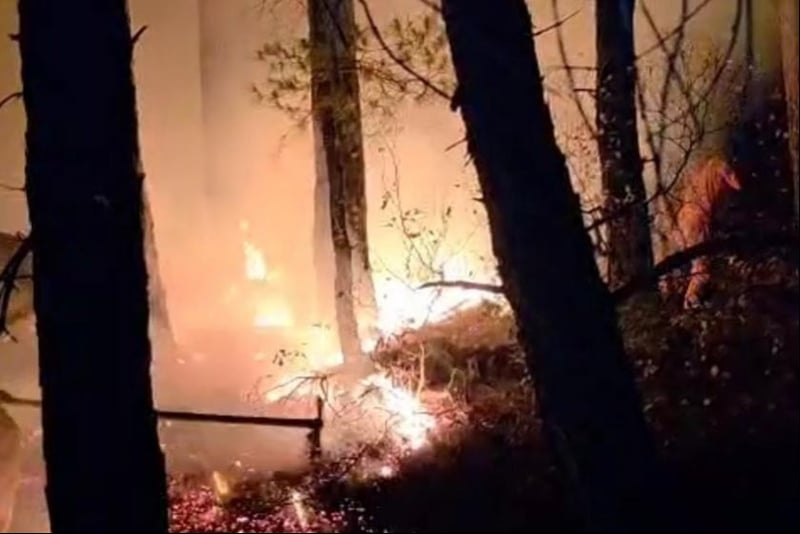 Hatay’da yıldırım düşmesi sonucu çıkan orman yangını: 12 saatte kontrol altına alındı