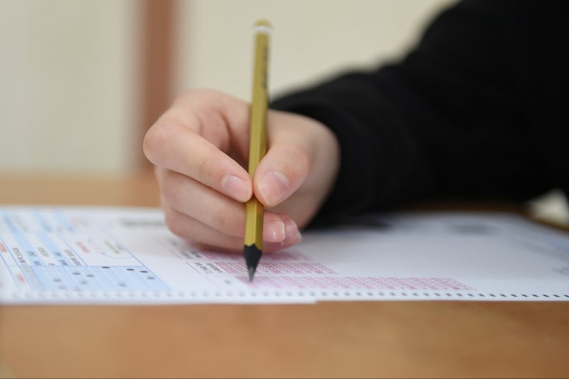 ALES giriş belgeleri erişime açıldı