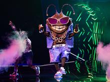 Fernsehen: US-Musiker bei „The Masked Singer“ ausgeschieden