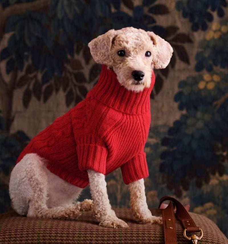 The Psychology Behind Ralph Lauren Christmas Trend And Why It’s Winning 2025