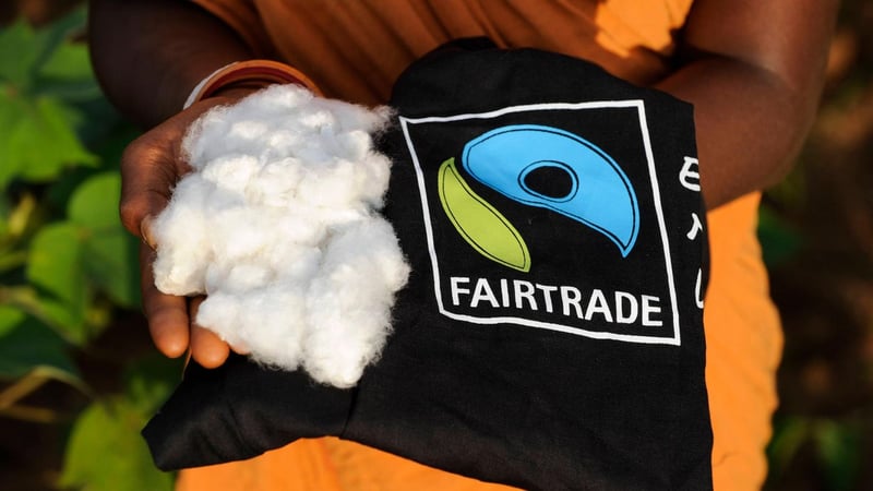 Brüssel: Brandmauer im EU-Parlament fällt: Rechte Mehrheit lockert Lieferkettengesetz