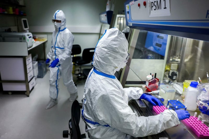 Grippe aviaire : comment la France anticipe le risque d’une transmission à l’homme