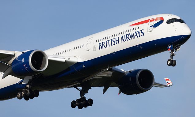 BA owner eyes slice of Portuguese airline TAP