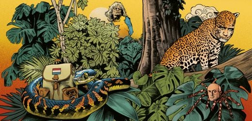 Dorothee Elmigers »Die Holländerinnen«: Und das soll ich lesen?