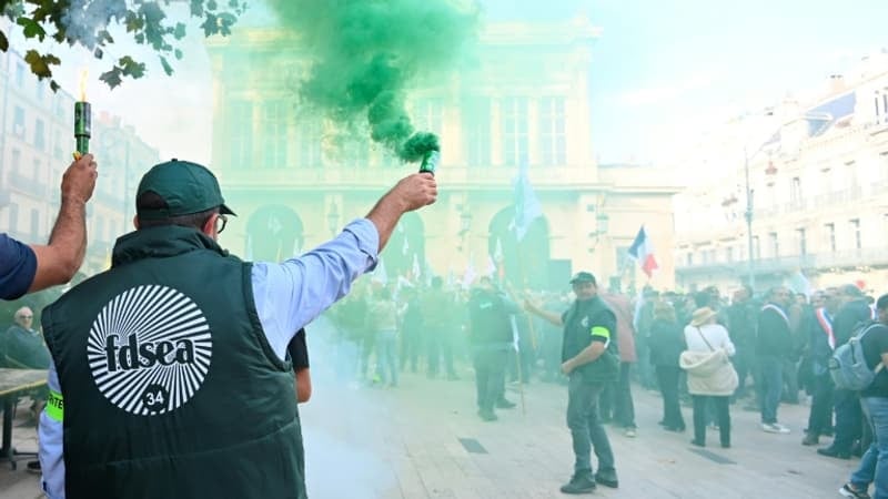 "Un cri d'alarme": à Béziers, des milliers de viticulteurs demandent "d'agir vite" face à la détresse de la filière