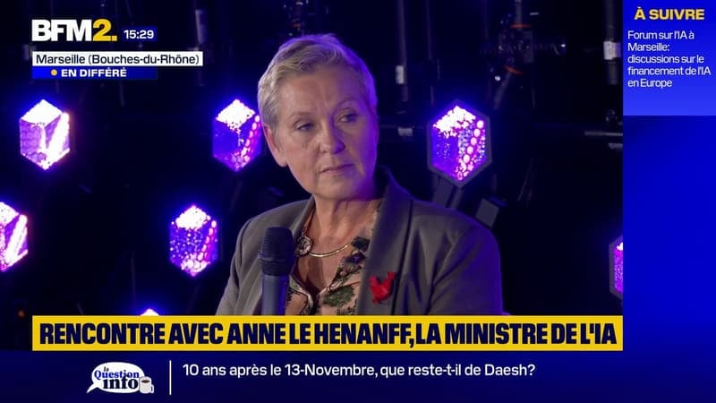 Produits illégaux sur les sites Wish, Shein: "L'impunité c'est terminé", réagit Anne Le Hénanff, ministre de l'IA