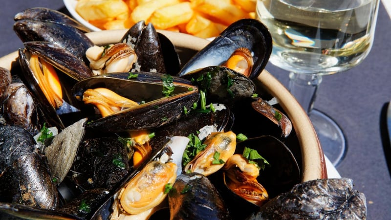 Fragen und Antworten: Muschelvergiftung: Wenn die Meeresfrüchte zum Risiko werden