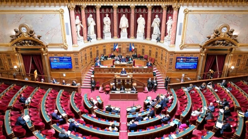 Ils craignaient que les investisseurs fuient: les sénateurs suppriment l'augmentation de la CSG sur les revenus du capital, pourtant voulue par les députés