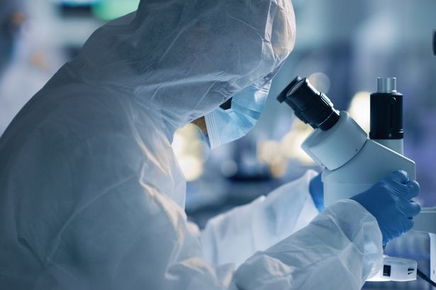 Man 'severely ill' with virus never before seen in humans