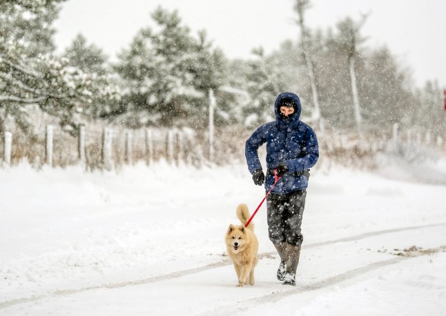 Temperatures drop to -12C overnight after arctic blast of snow