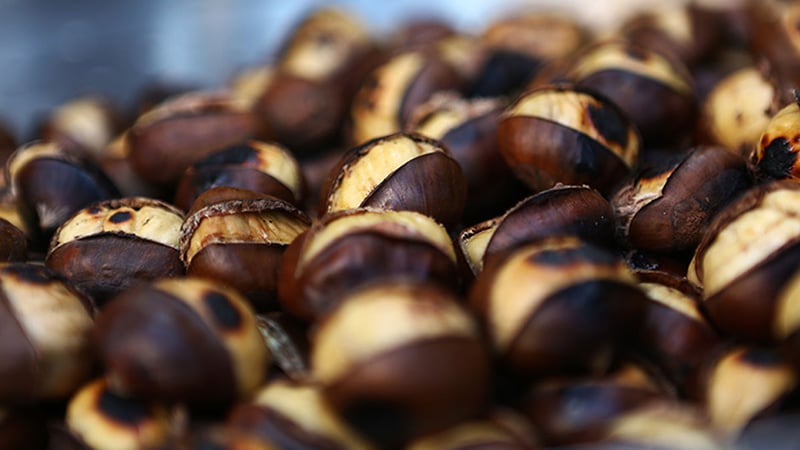 Kestane fiyatları uçtu: Vatandaş gramla almaya başladı