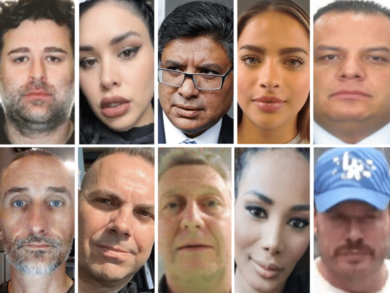 The enablers: A network of professionals, family and friends allegedly kept Ryan Wedding's vast cocaine empire afloat