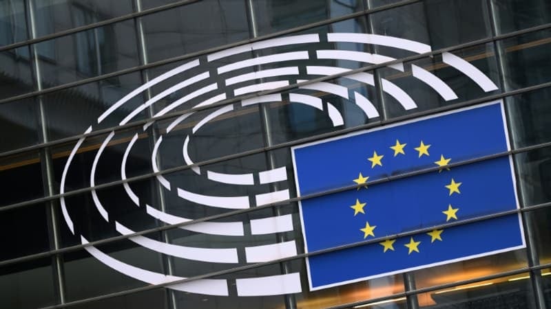 Une loi rend responsable les entreprises européennes si leurs fournisseurs font travailler des enfants ou pratiquent la déforestation: les députés européens viennent de l'édulcorer pour lutter contre la bureaucratie